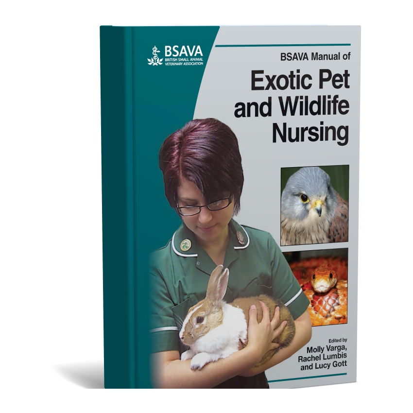 BSAVA Manual of Exotic Pet and Wildlife Nursing books BSAVA Manual of Exotic Pet and Wildlife Nursing ایران وت بوک | IranVetBook 1 BSAVA Manual of Exotic Pet and Wildlife Nursing