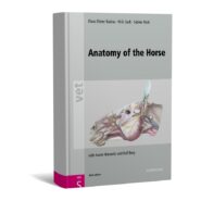 Anatomy of the Horse