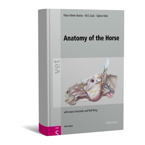 Anatomy of the Horse