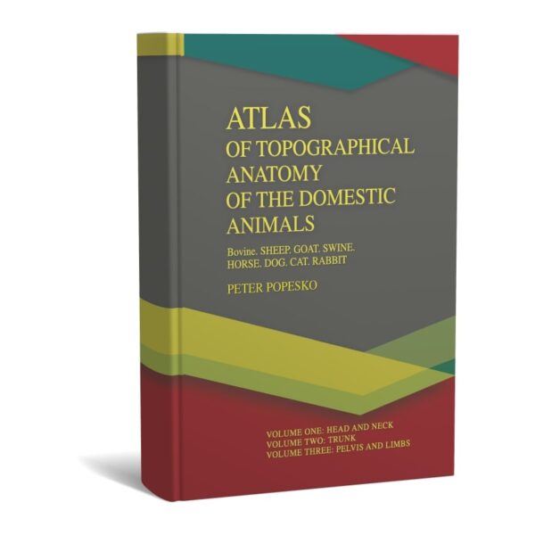Atlas of Topographical Anatomy of the Domestic Animals