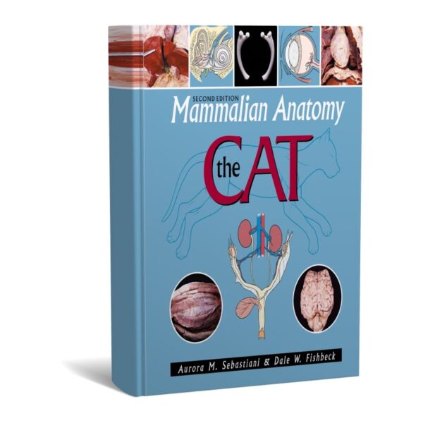 Mammalian Anatomy: The Cat