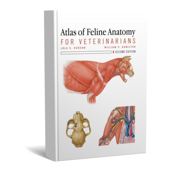 Atlas of Feline Anatomy For Veterinarians