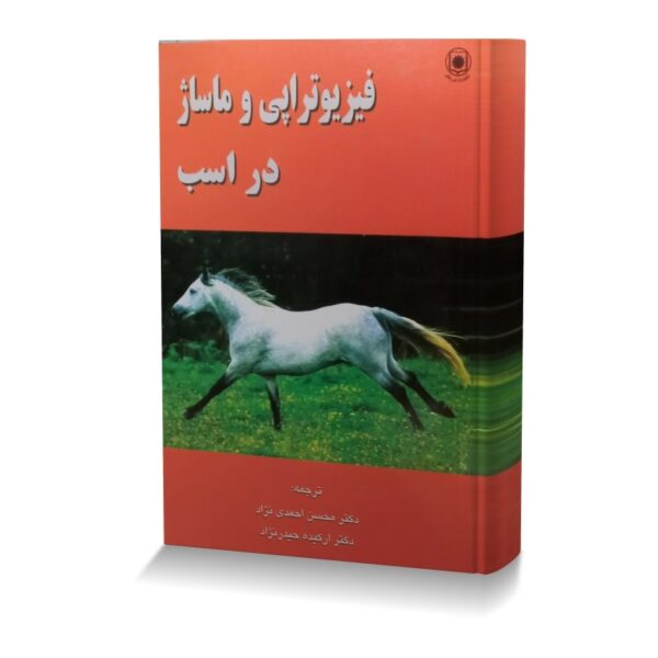 فیزیوتراپی و ماساژ در اسب