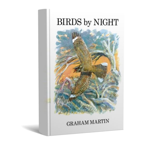 Birds By Night