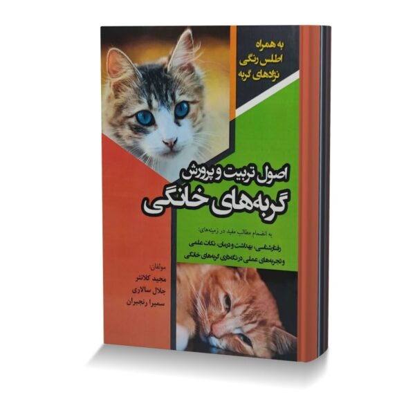 اصول تربیت و پرورش گربه های خانگی
