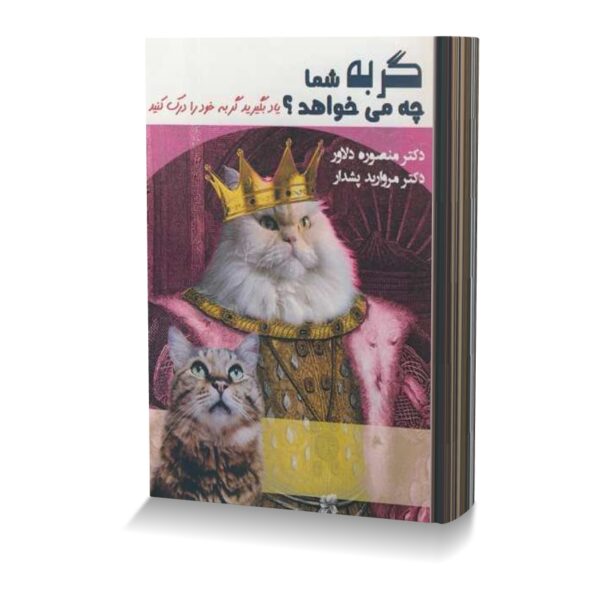 گربه شما چه می خواهد؟ یادبگیرید گربه خود را درک کنید