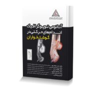 آناتومی توپوگرافیک اندام های حرکتی در گوشتخواران