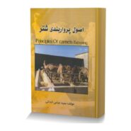 اصول پرواربندی شتر
