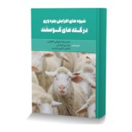 شیوه های افزایش بهره وری در گله های گوسفند