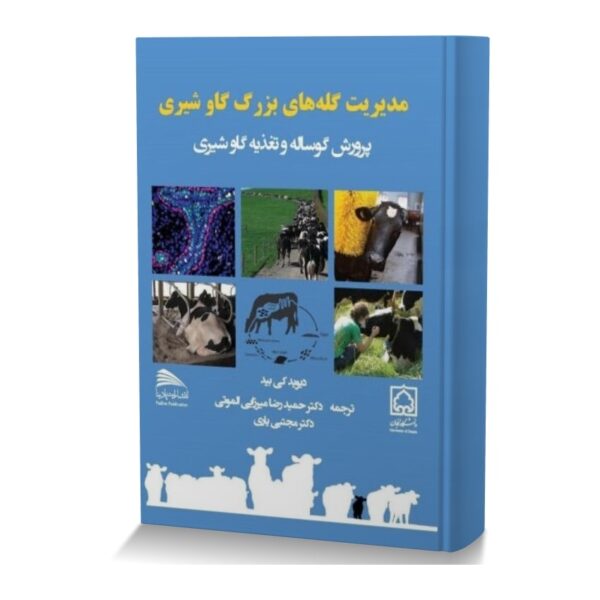 مدیریت گله های بزرگ گاو شیری (پرورش گوساله و تغذیه گاو شیری)