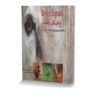 پیام های گوسفند (راهنمای عملی پرورش گوسفند با تمرکز روی دام)
