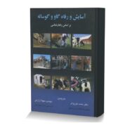 آسایش و رفاه گاو و گوساله بر اساس رفتار شناسی