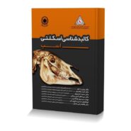 کالبدشناسی اسکلتی اسب
