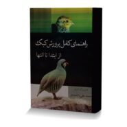 راهنمای کامل پرورش کبک از ابتدا تا انتها