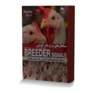 سیگنال های مرغ مادر گوشتی (راهنمای عملی برای مدیریت بهینه پرورش مرغ مادر گوشتی)