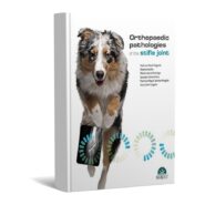 Orthopaedic pathologies of the stifle joint