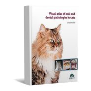 Visual atlas of oral and dental pathologies in cats