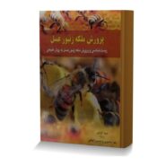پرورش ملکه زنبور عسل