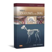 Miller's Anatomy of the Dog