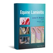 Equine Laminitis
