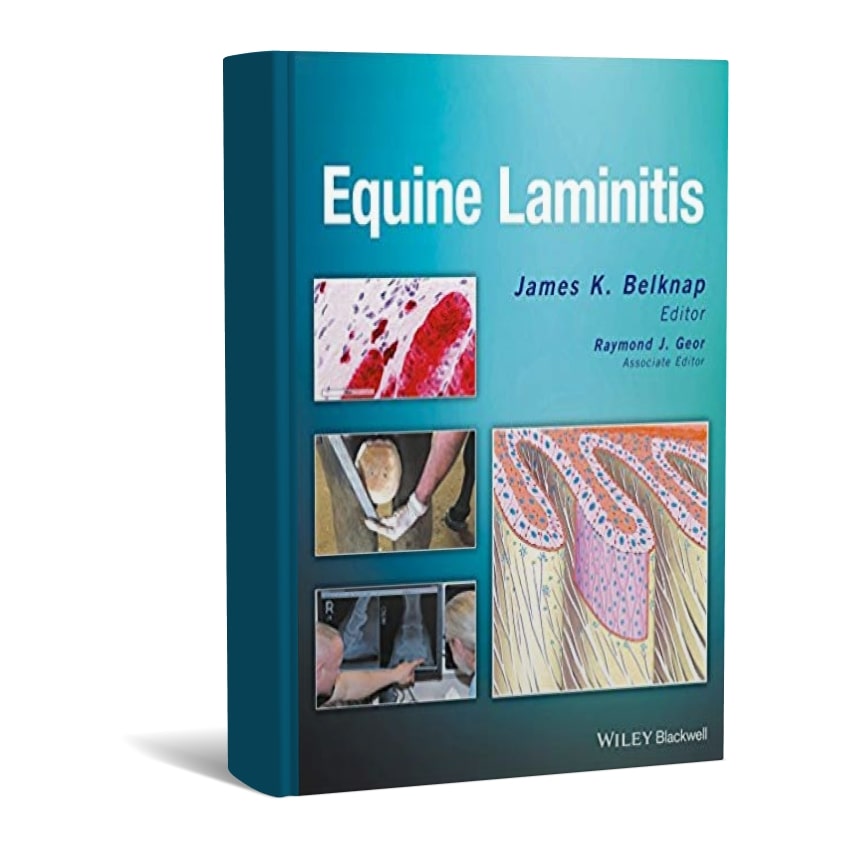 Equine Laminitis Equine Laminitis min ایران وت بوک | IranVetBook 1 Equine Laminitis