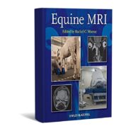 Equine MRI