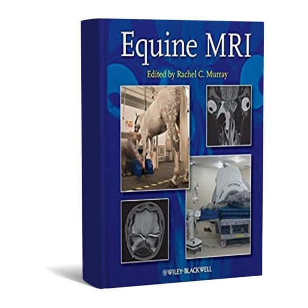 Equine MRI