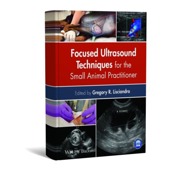 Focused Ultrasound Techniques for the Small Animal Practitioner