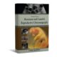 practical atlas of Ruminant and Camelid Reproductive Ultrasonography