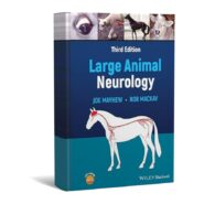 Large Animal Neurology